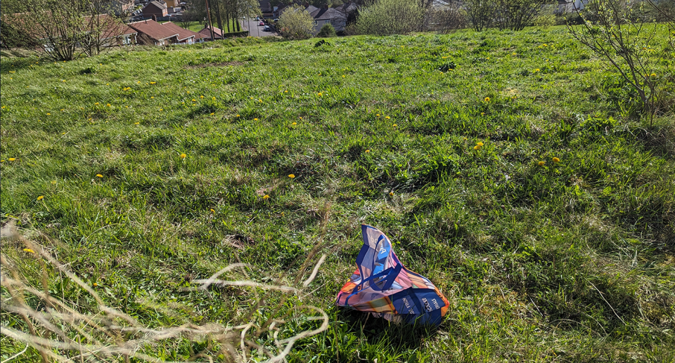 A Poundland bag sitting on a grassy wasteland. Houses can be seen in the background.