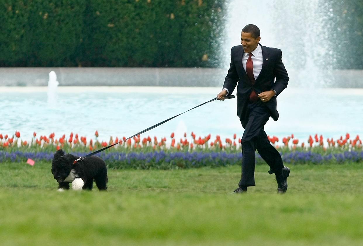 Barack Obama runs with his family's new dog, a Portuguese water dog named Bo, on the South Lawn of the White House on April 14, 2009 in Washington, DC. (Chip Somodevilla/Getty Images)