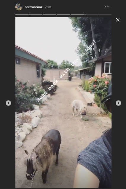 Kaley Cuoco with her two dwarf mini horses, Shmooshy and Blanca.