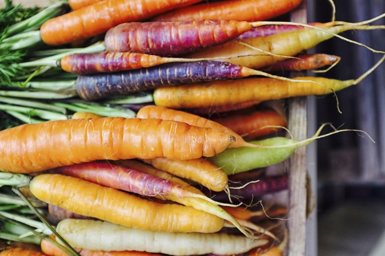 rainbow carrots fresh carrots carrot varieties