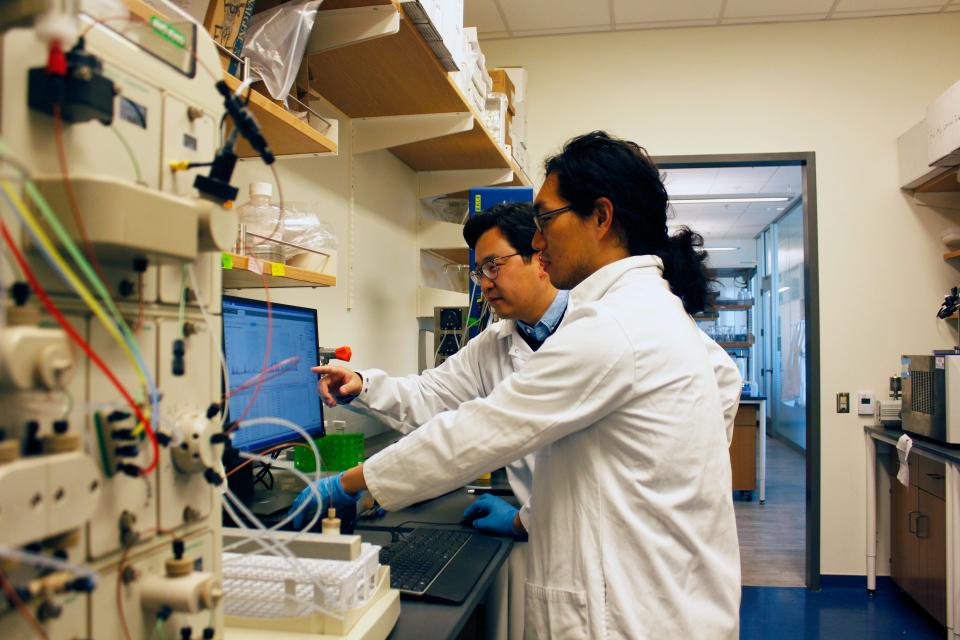 U of A assistant professor Minkyu Kim discusses a protein used in his team's biomimetic red blood cell project with graduate student Sam Kim (front, no relation). The team hopes their synthetic red blood cells will be used to provide a better delivery method for drugs for diseases like cancer.