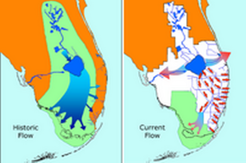 La restauración de los Everglades tiene por objeto restablecer los atributos históricos clave del río de hierba, especialmente la calidad, el almacenamiento y el caudal del agua. Se calcula que llevará muchas décadas. Parque Nacional de los Everglades.