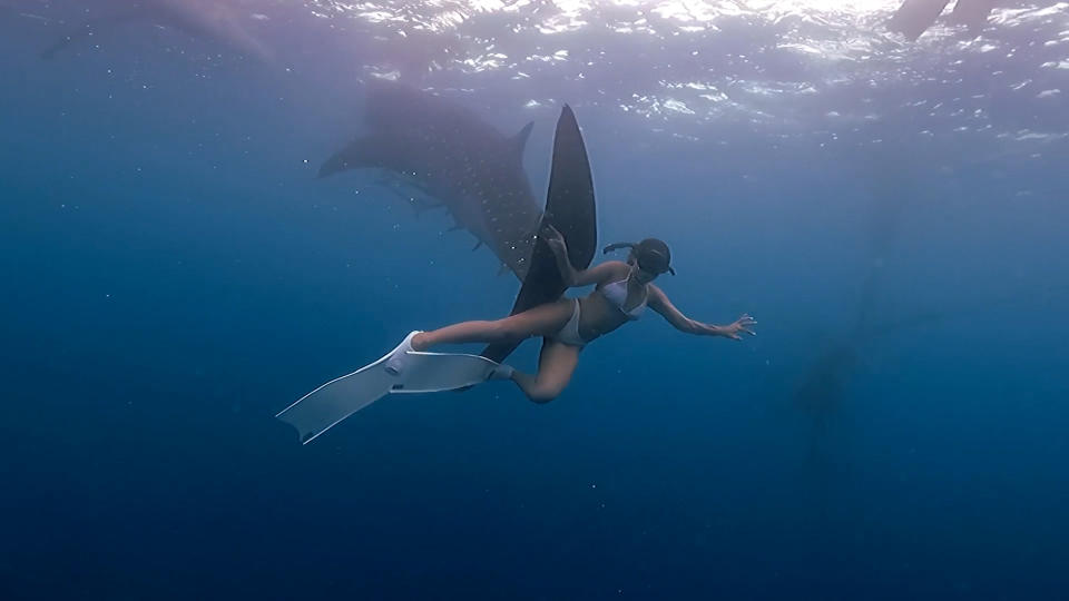 The whale shark inadvertently hit her backside. Source: Viral Press/ Australscope