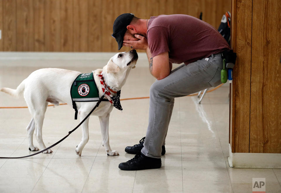 Veterans support dogs