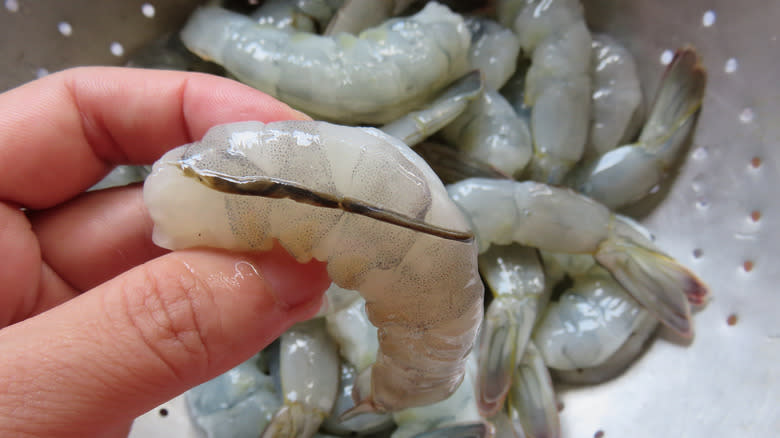 hand holding shrimp with vein