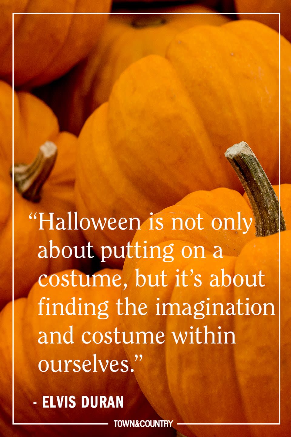 These 44 Halloween Quotes Will Get You Ready For Spooky Season