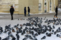 People walk past pigeons on a street in the town of Aksu, north-eastern Kazakhstan, February 21, 2018. REUTERS/Shamil Zhumatov/Files
