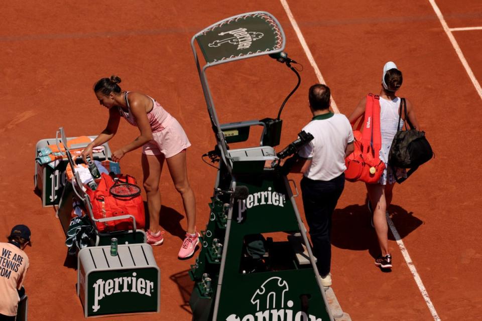 Svitolina was booed off court at the French Open in Paris (Getty Images)