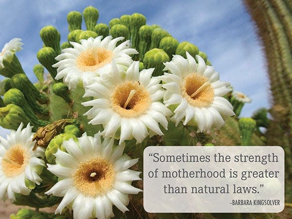 "Sometimes the strength of motherhood is greater than natural laws." — Barbara Kingsolver