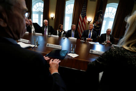 U.S. President Donald Trump holds a bipartisan meeting with legislators on immigration reform at the White House in Washington, U.S. January 9, 2018. REUTERS/Jonathan Ernst