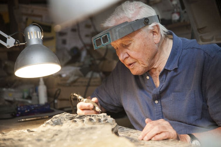 <span class="caption">David Attenborough examines the fossil.</span> <span class="attribution"><span class="source">BBC/Robin Cox</span></span>