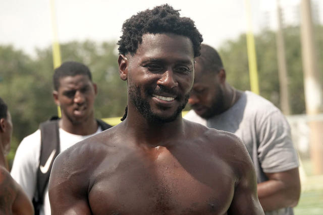 Antonio Brown Stats, News and Video - WR