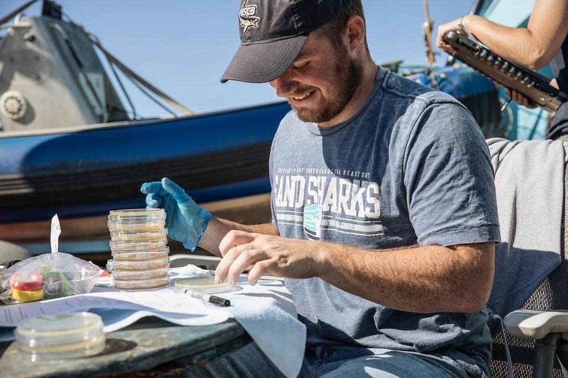 Will Crowson plates bacteria swabbed from a white shark that the OCEARCH team caught and released for research. Crowson was part of a May 2022 expedition through OCEARCH.