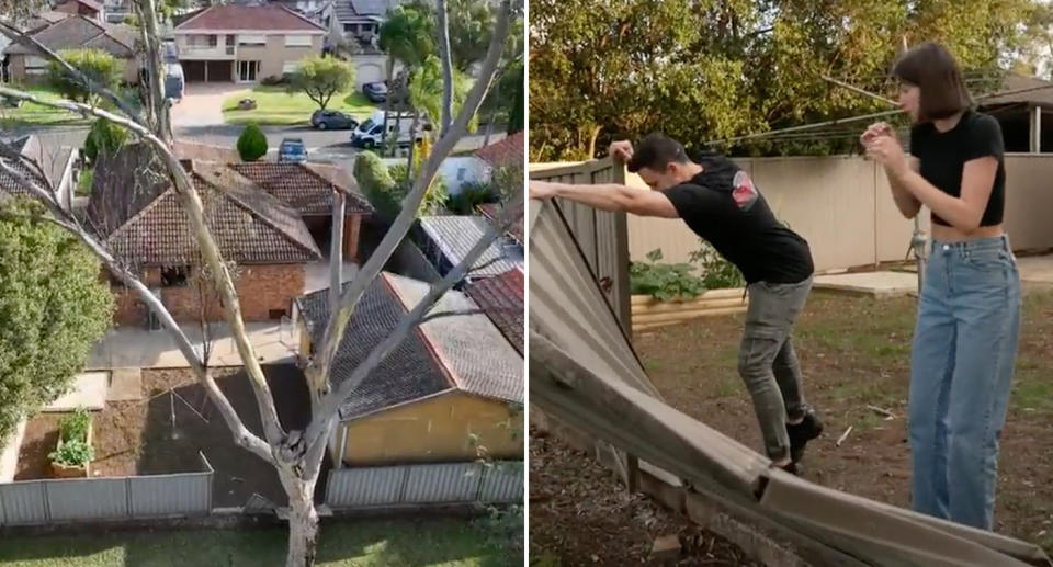 The tall dead tree and Elissa and Anthony trying to pull up the metal fence panel. 