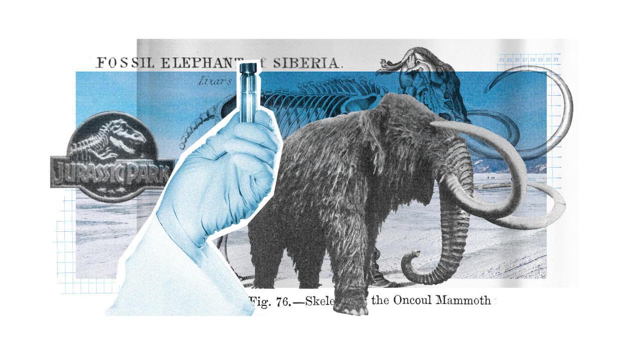  Photo collage of a stuffed woolly mammoth museum specimen from the 1800s, an engraving of a mammoth skeleton, a gloved hand holding up a test tube and the logo of Jurassic Park. In the background, there is a picturesque landscape picture of snowy Siberia with a bright blue sky. 