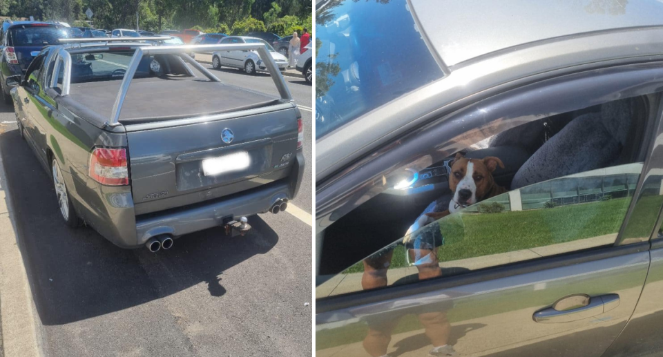 A dog was pictured in the front seat of a car left outside Campbelltown hospital in the Greater Sydney region. Source: Facebook