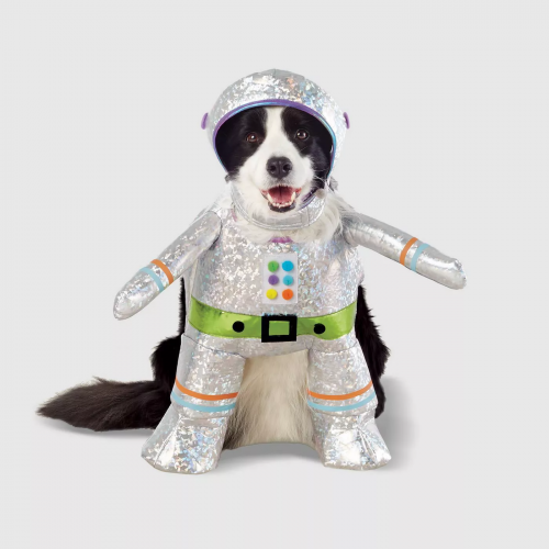 robot dog costume