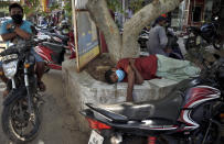 A man sleeps wearing a face mask beneath a tree by the side of a road during the coronavirus pandemic in Kochi, Kerala state, India, Saturday, May 30, 2020. (AP Photo/ R S Iyer)