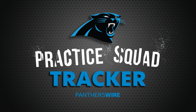 Carolina Panthers Cut Down to 53-Man Roster