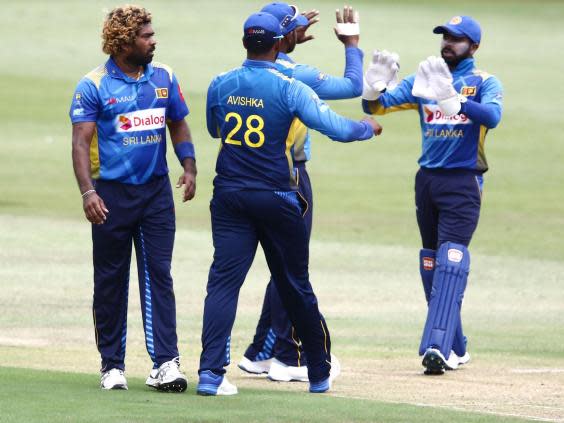 Sri Lanka rank as outsiders for the tournament (Getty)