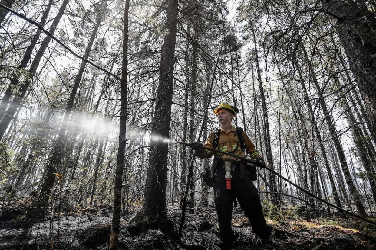 Department of Natural Resources and Renewables firefighter Kalen MacMullin of Sydney, N.S., at the Shelburne County wildfire earlier this summer. (Communications Nova Scotia - image credit)