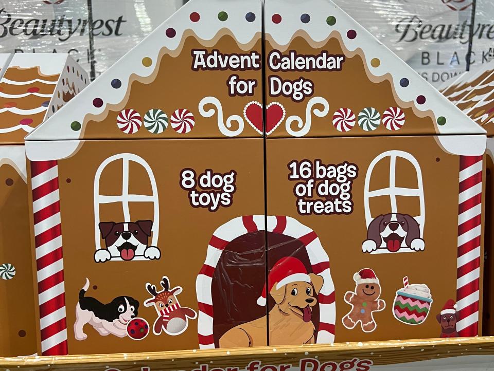 dog advent calendar at Costco