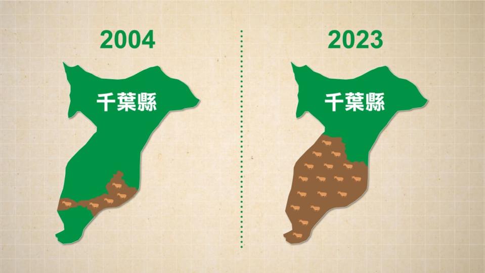 2004 年與 2023 年日本千葉縣的山羌分布。資料來源：日本千葉縣環境生活部自然保護課