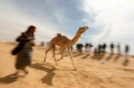 A Bedouin breeder runs beside a robot jockey riding a camel during the 18th International Camel Racing festival at the Sarabium desert in Ismailia, Egypt, March 12, 2019. Picture taken March 12, 2019. REUTERS/Amr Abdallah Dalsh