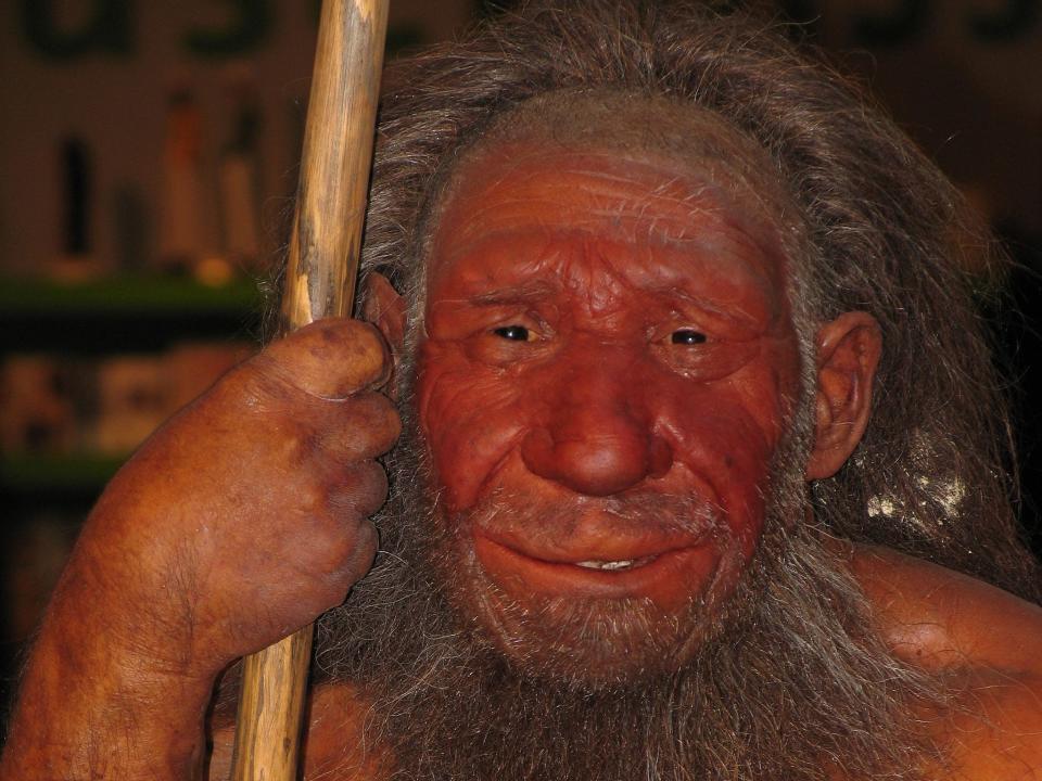 Neandertaler reconstruction at Neanderthal Museum, Mettmann, Germany