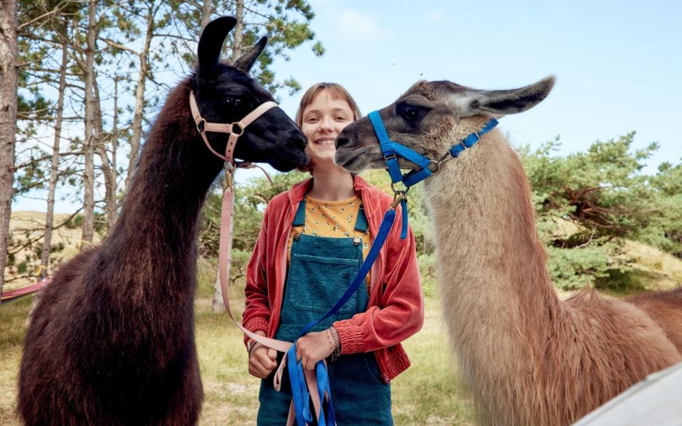 Lotta ist wieder da! Auch in "Mein-Lotta-Leben - Alles Tschaka mit Alpaka!", der zweiten Film-Adaption der Kinderbuch-Reihe von Alice Pantermüller, übernimmt Meggy Hussong (Bild) die Hauptrolle. (Bild: 2022 WildBunch/Dagstar Film/Lieblingsfilm/Senator Film Köln/Sandra Hoever)