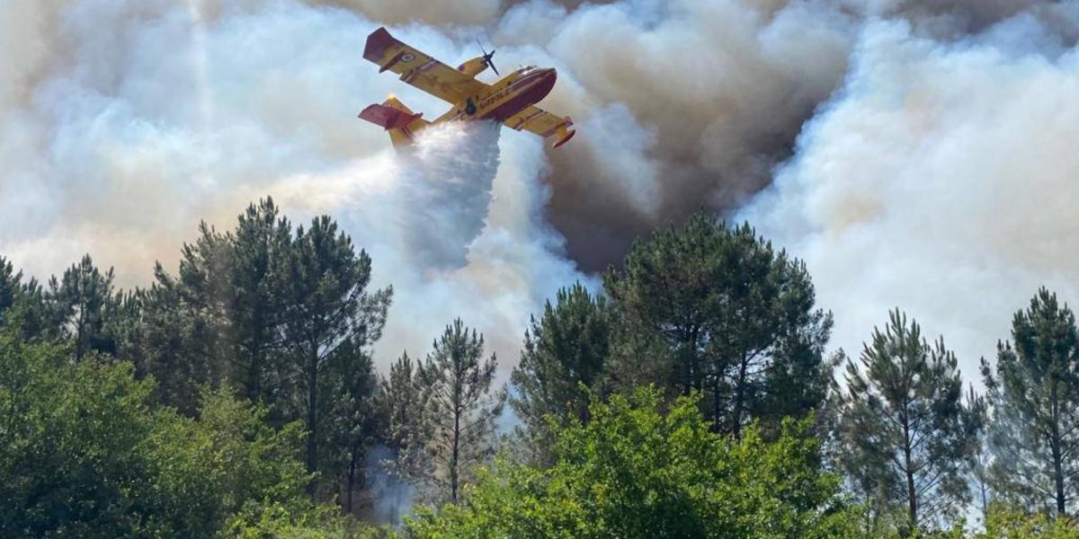 Incendies. Pourquoi les pompiers allument-ils des feux pour lutter contre  les flammes ? - Paris-Normandie