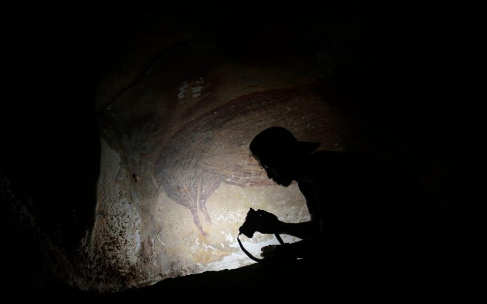 This undated handout photo shows a dated pig painting at Leang Tedongnge in Sulawesi, Indonesia - ADHI AGUS OKTAVIANA /AFP