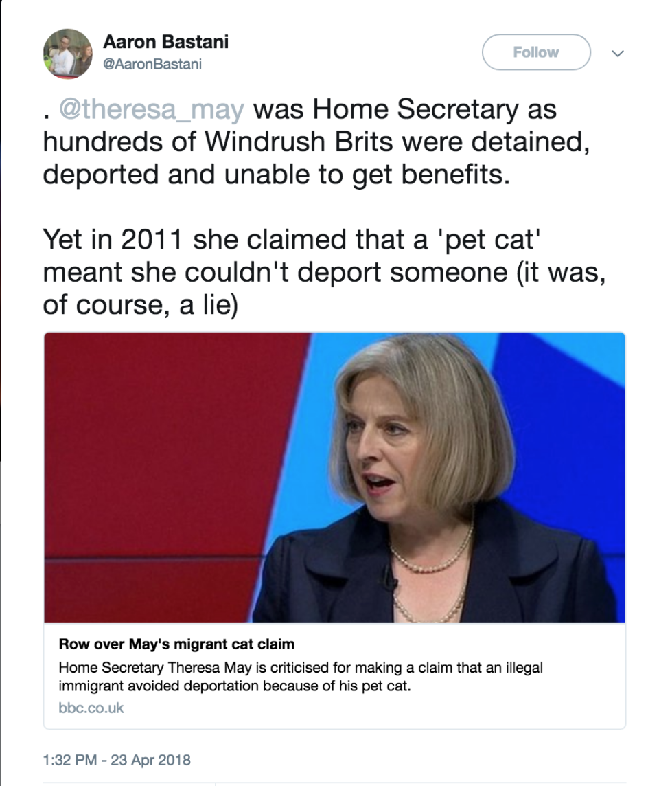 <em>Catgate – people are linking Theresa May’s attack on the Human Rights Act with the Windrush Scandal (Picture: Twitter)</em>