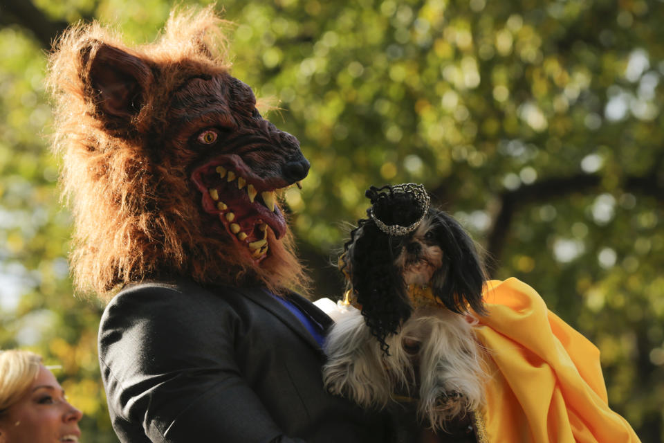 Costumed pooches prance In annual Halloween Dog Parade in New York City