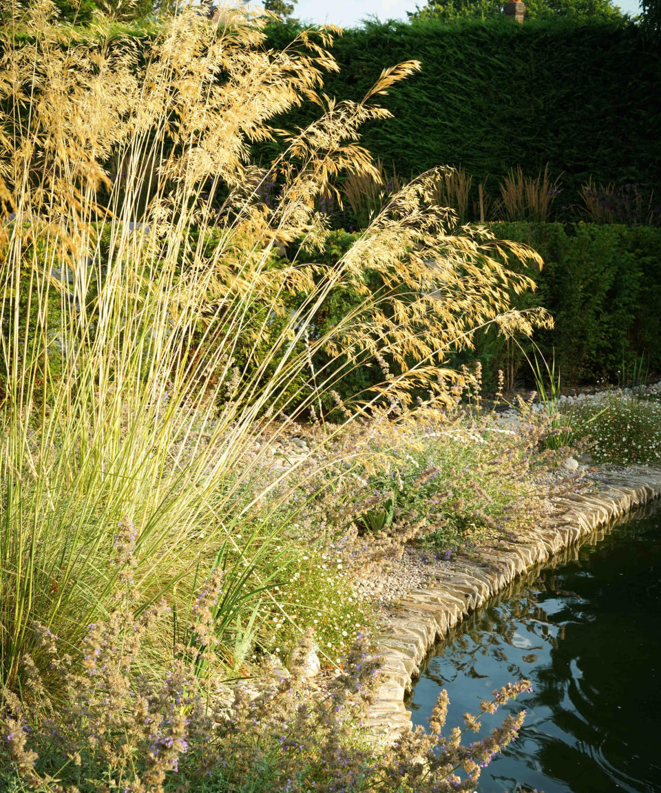 Use ornamental grasses for landscaping