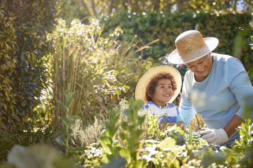 things to do labor day gardening