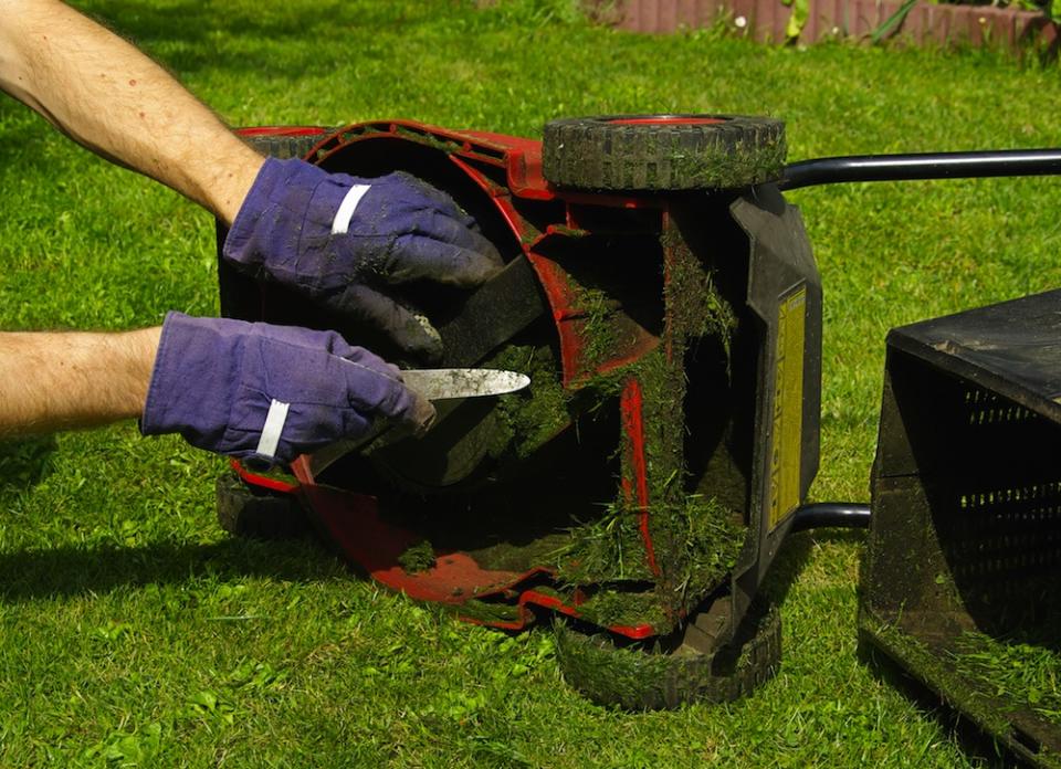 <body> <p>Everyone knows that you're supposed to clean the underside of a mower after use—but many folks let this little chore slide. However, when you do just that you're actively shortening the life of your machine. Not only do clippings block proper airflow necessary for <a rel="nofollow noopener" href=" http://www.bobvila.com/articles/mulching-leaves/?bv=yahoo" target="_blank" data-ylk="slk:mulching;elm:context_link;itc:0;sec:content-canvas" class="link ">mulching</a> or bagging clippings, but moisture and fertilizer traces can corrode the deck of the mower, causing premature rust and wear.</p> <p><strong>Related: <a rel="nofollow noopener" href=" http://www.bobvila.com/slideshow/need-a-new-lawn-mower-10-top-rated-grass-guzzlers-44276?bv=yahoo" target="_blank" data-ylk="slk:Need a New Lawn Mower? 10 Top-Rated Grass Guzzlers;elm:context_link;itc:0;sec:content-canvas" class="link ">Need a New Lawn Mower? 10 Top-Rated Grass Guzzlers</a> </strong> </p> </body>