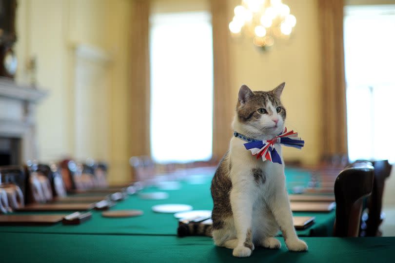 Larry actually has official duties Downing Street hopes he performs