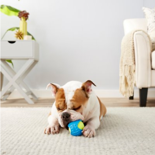 DOG TOYS FOR SENIOR DOGS — Go French Yourself