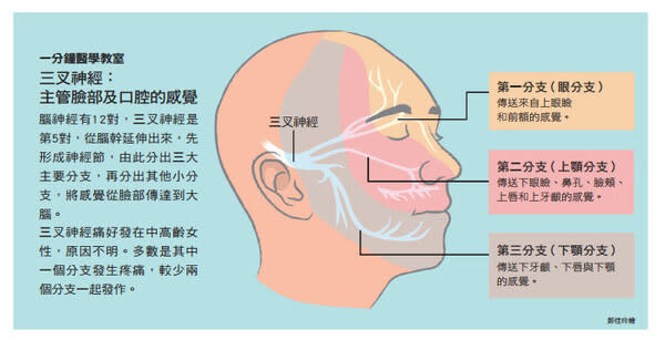 三叉神經（圖片來源：康健雜誌）