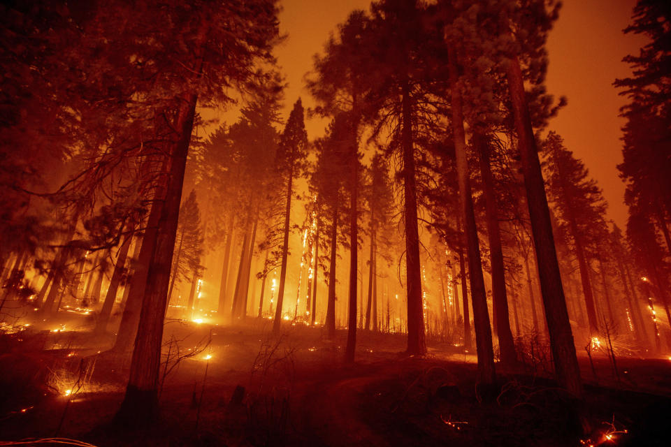 In this long exposure photograph, the Caldor Fire burns through trees on Mormom Emigrant Trail east of Sly Park, Calif., Tuesday, Aug. 17, 2021. (AP Photo/Ethan Swope)