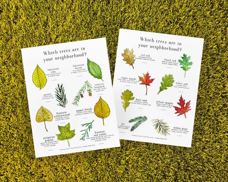 Leaf Scavenger Hunt