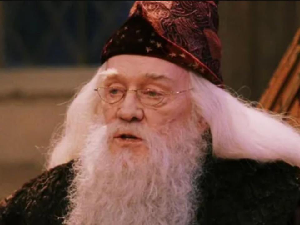 Richard Harris as Album Dumbledore in the ‘Harry Potter’ franchise (Warner Bros Pictures)