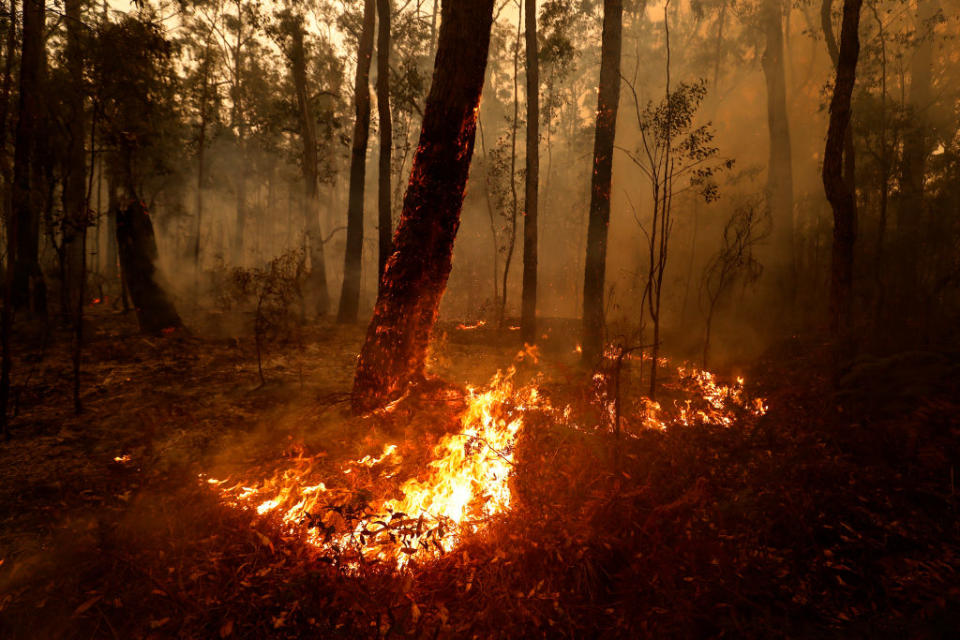 ORBOST, AUSTRALIA - JANUARY 05: Small spot fires still burn on January 05, 2020 between Orbost and Cann River along the Princes Highway, Australia. Two people are dead and 6 remain unaccounted for as bushfires continue to burn across the East Gippsland area. Victorian premier Daniel Andrews has declared a state of disaster in the region, compelling residents in threatened areas to evacuate. Thousands of people remain stranded in the coastal town of Mallacoota and are being evacuated by navy ships to Melbourne. Image: Getty