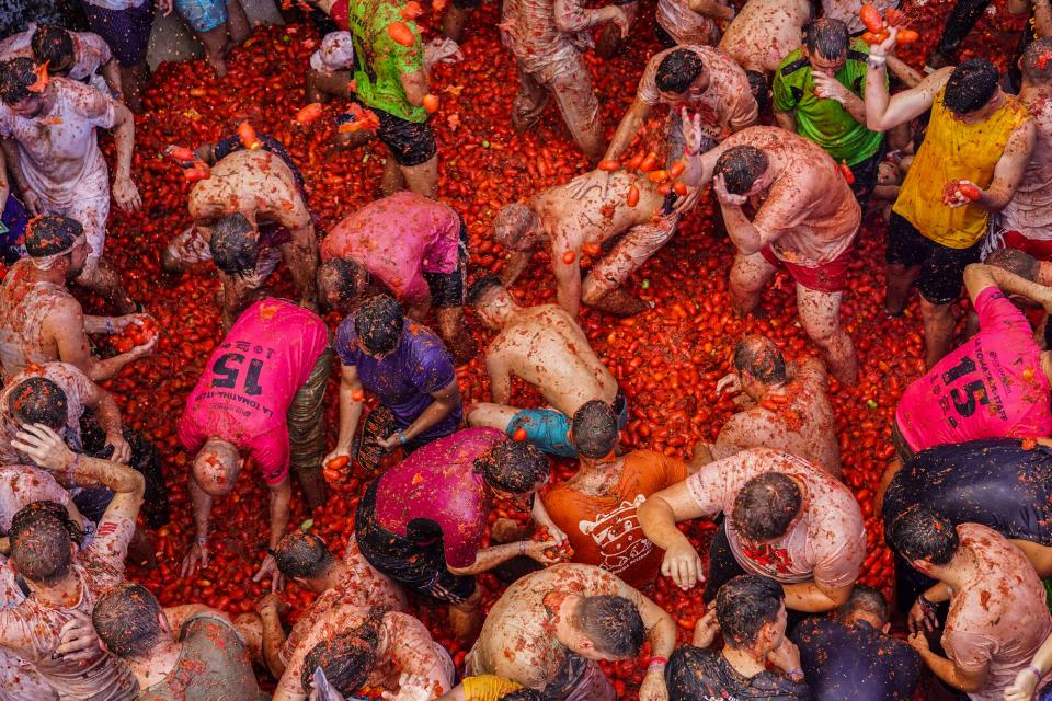 Participants throw tomatoes at each other during the annual "Tomatina"tomato fight Aug. 31, 2022.