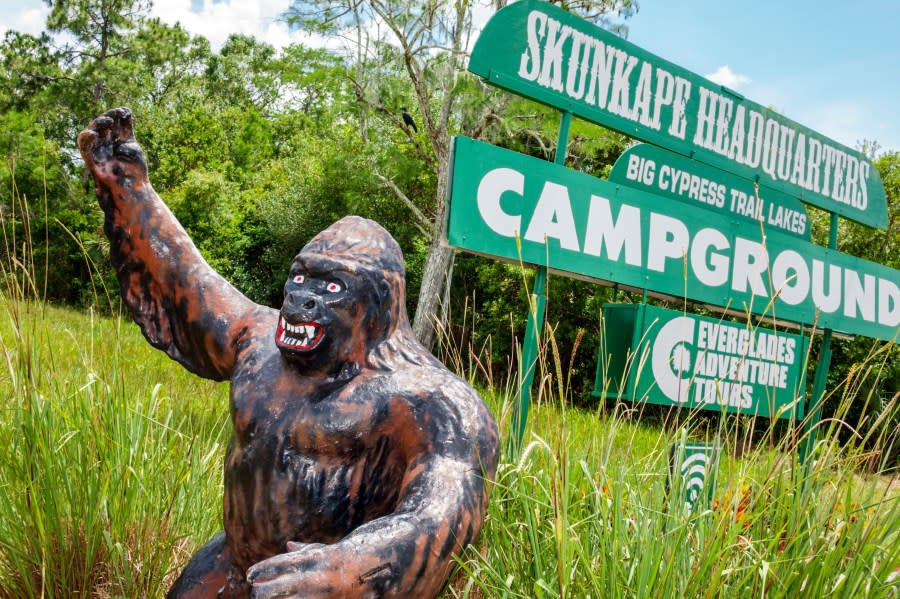 A mythical sculpture in front of Skunk Ape Research Center Headquarters sign. (Photo by: Jeffrey Greenberg/Universal Images Group via Getty Images)