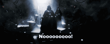 Darth Vader screaming "Nooooooooo!"