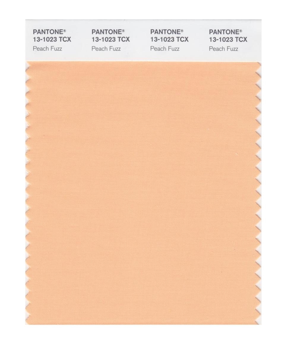 The Pantone 2024 colour of the year, Peach Fuzz, is seen in this swatch.