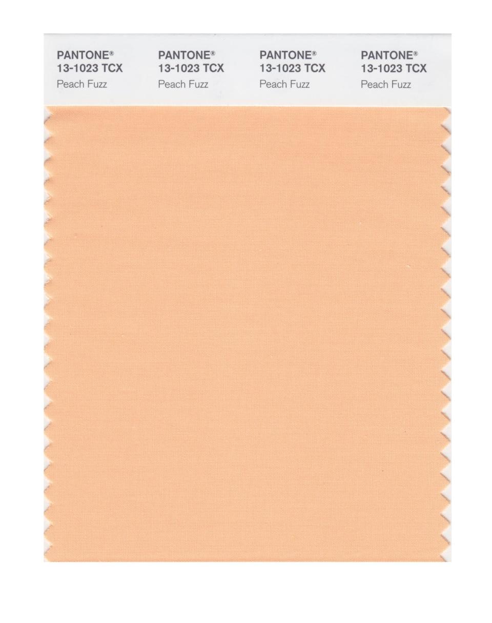 Pantone's 2024 colour of the year is Peach Fuzz, a 'warm and cozy' hue