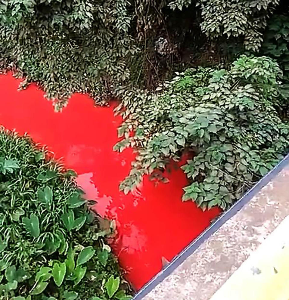 The Xiangbi River in Yibin city in China has been filmed coloured blood-red. Source: australscope